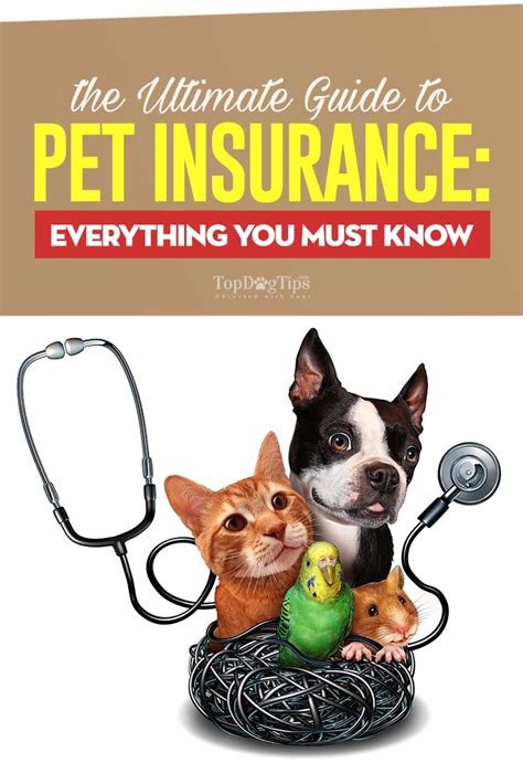 pet insurance that starts right away.